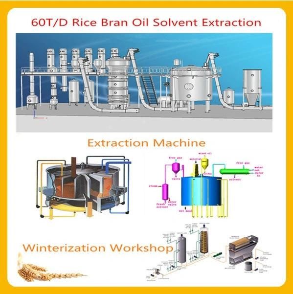 100t/D High Quality Rice Bran Oil Production Line/Oil Press Machine