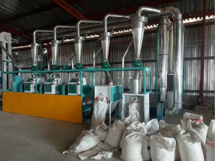 Maize Milling and Packaging Plant