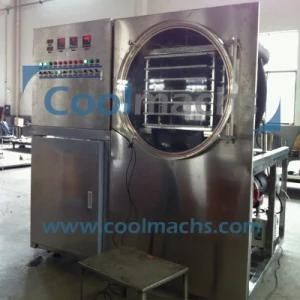 Mini Freeze Dryer/R&D Use Vacuum Freeze Dryer