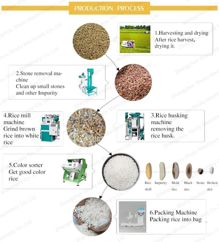 a Complete Rice Milling Processing Machine Set