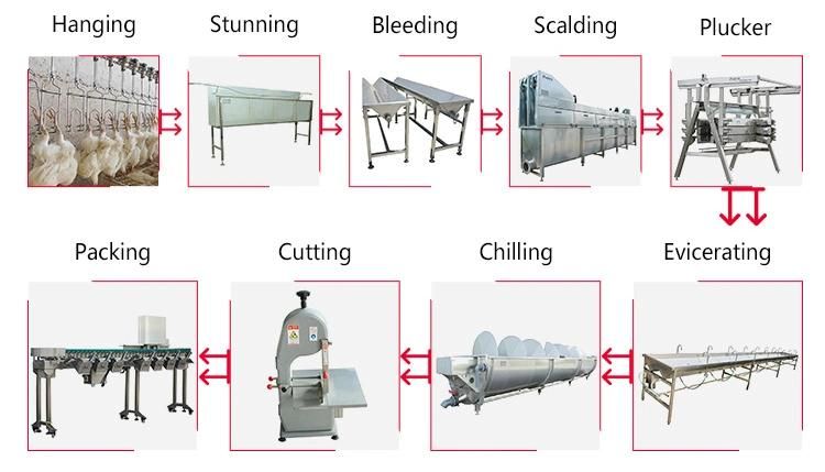 Skinning Machine for Chicken Processing Unit Chicken Meat Processing Machinery