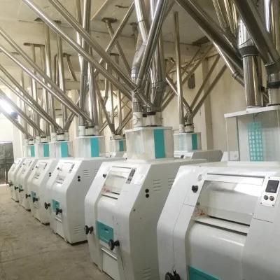 Top Quality Flour Mill Machinery in Algeria