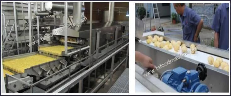 Automatic Frying Machine and Potato French Fries Making Machine