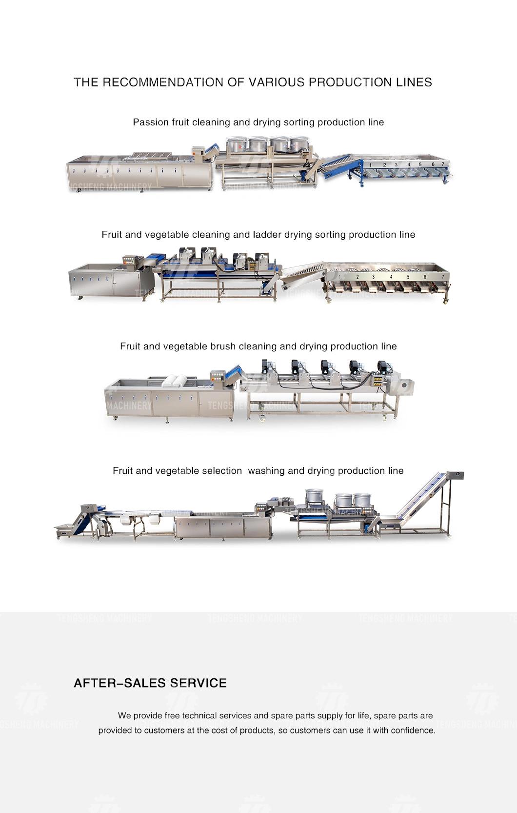 Factory Customized Peeling Machine Fruit Vegetables Peeler Food Processor (TS-P80)