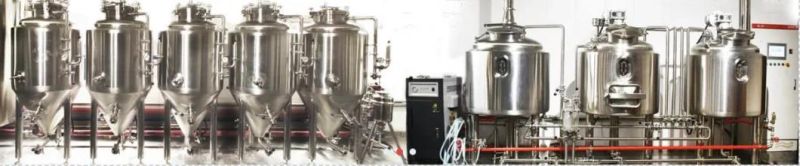 200L Brewing Equipment Brewery Machine and Fermenters