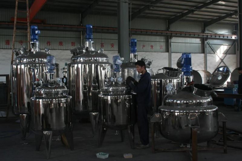 Pharmaceutical Stainless Steel Fermentation Tank with Agitator