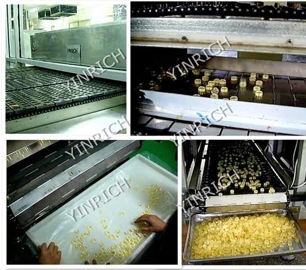 Candy Manufacturing Equipment Candy Maker Suppliers Complete Hard Candy Depositing Line Manufacturer with Ce ISO9001 Certificates (GD150/300/450/600)