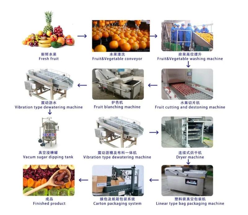 Automatic Tomato Paste Processing Line/Movable Fruit and Vegetable Processing Machines in Container Lorry