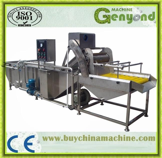 Fruit and Vegetable Washing Machine