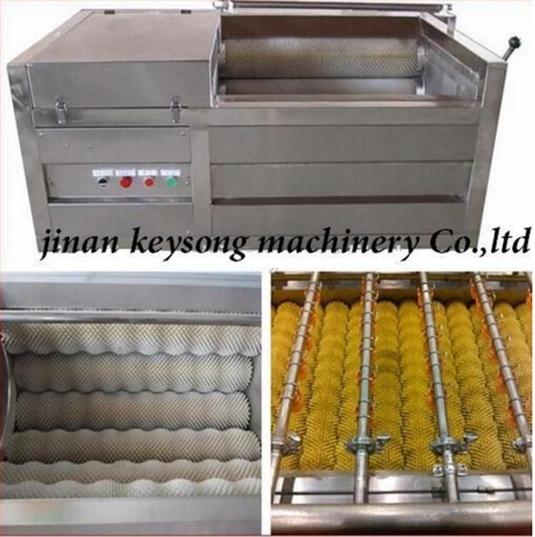 Industrial Fresh Vegetable Cleaning Brush Washer for Sale