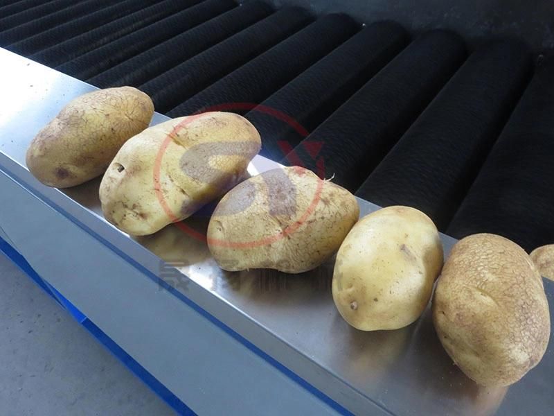 Tomato Potato Carrot Color Pepper Automatic Loading Selecting Sorting Machine