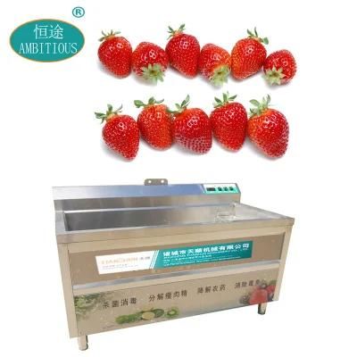 Industrial Air Bubble Fruit Spray Washer Machines Strawberry Washing Machine