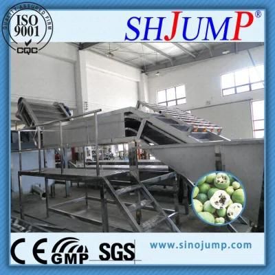 Fruit Puree Production Line &amp; Fruit Pulpe Processing Plant