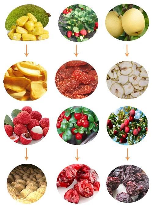 Automatic Food Dehydrator Tomato, Chili Mango, Banana, Apple, Beef Jerky Dryer Machine Meat, Fish Fruit and Vegetable Drying Machine Fruit Dryer