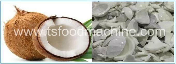 Industrial Mesh Belt Conveyor Dryer Coconut Chips Banana Chips Cassava Chips Drying Machine