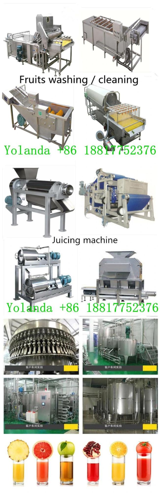 Top Quality Complete Prickly Pear Processing Machine