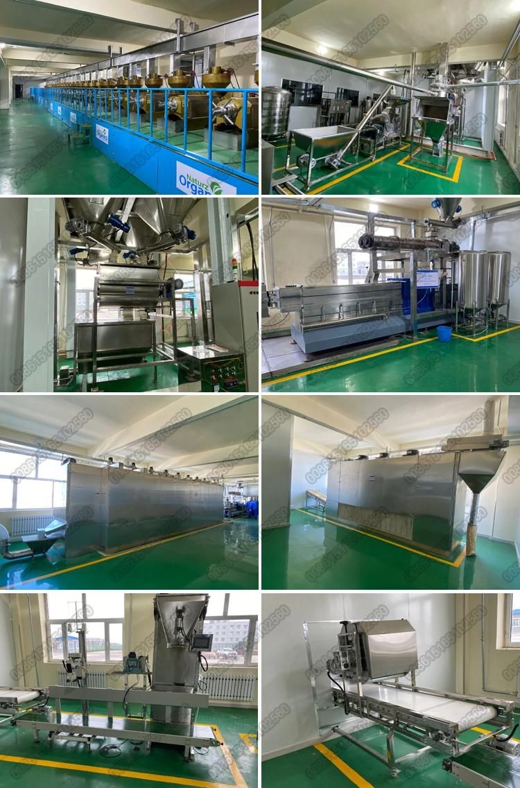 1tph Leisure Food Vegetaran Soya Meat Tvp Tsp Chunks Making Machine