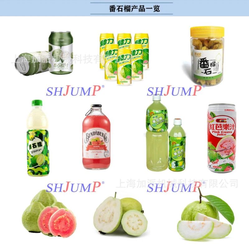 Guava Juice Processing Equipment/Guava Constrate Puree Jam Paste Ketchup Production Lines and Machines