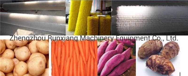 Chinese Stainless Steel Brush Vegetable Fruit Washing and Peeling Machine