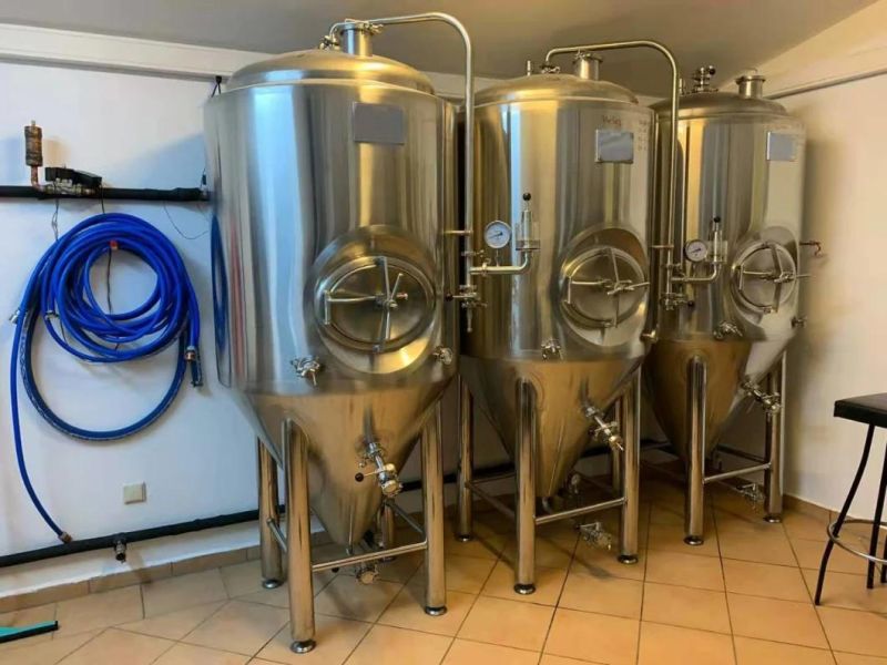 Micro 500L Beer Brewing Plant Brewery Equipment for Brewpub