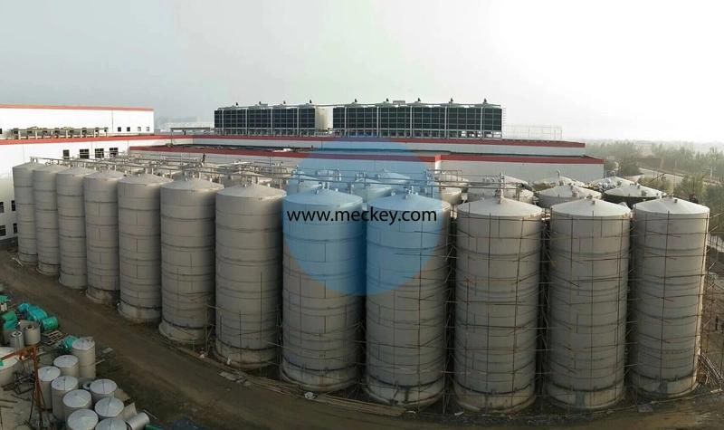 Automatic Corn Citric Acid Processing Plant with ISO Approval