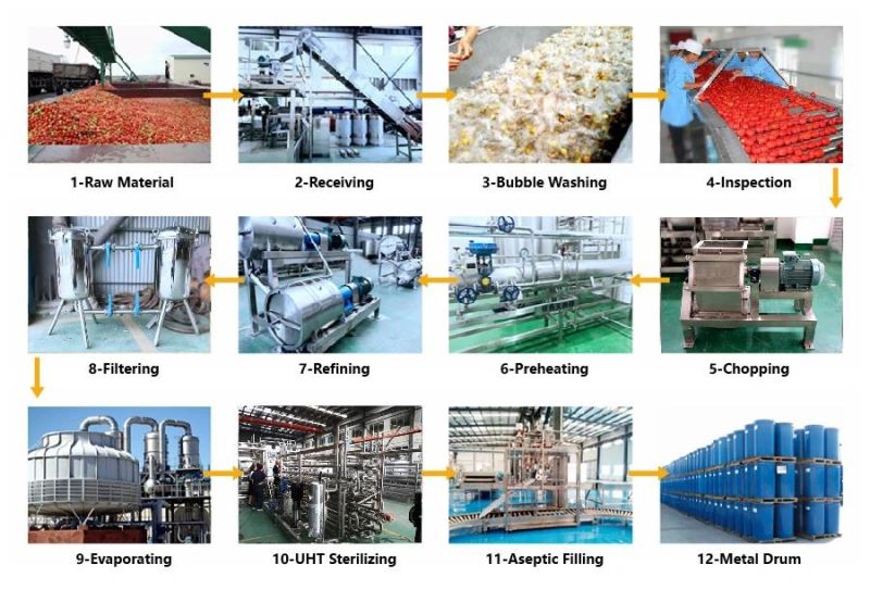 Full Automatic Complete Apple Fruit Juice/Jam/Chips Processing Production Line