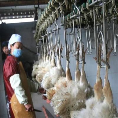 Automatic Chicken Processing Machine/Chicken Slaughtering Line