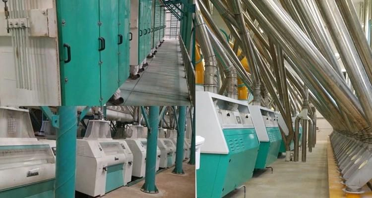 EU Standard 60-100t Wheat Flour Mill Machine Running Complete Line