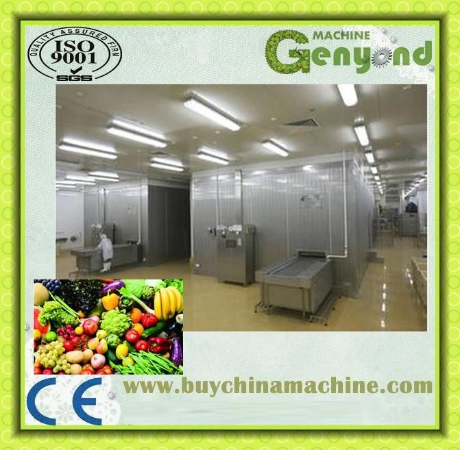 Clean Vegetables Fruit Processing Line in China