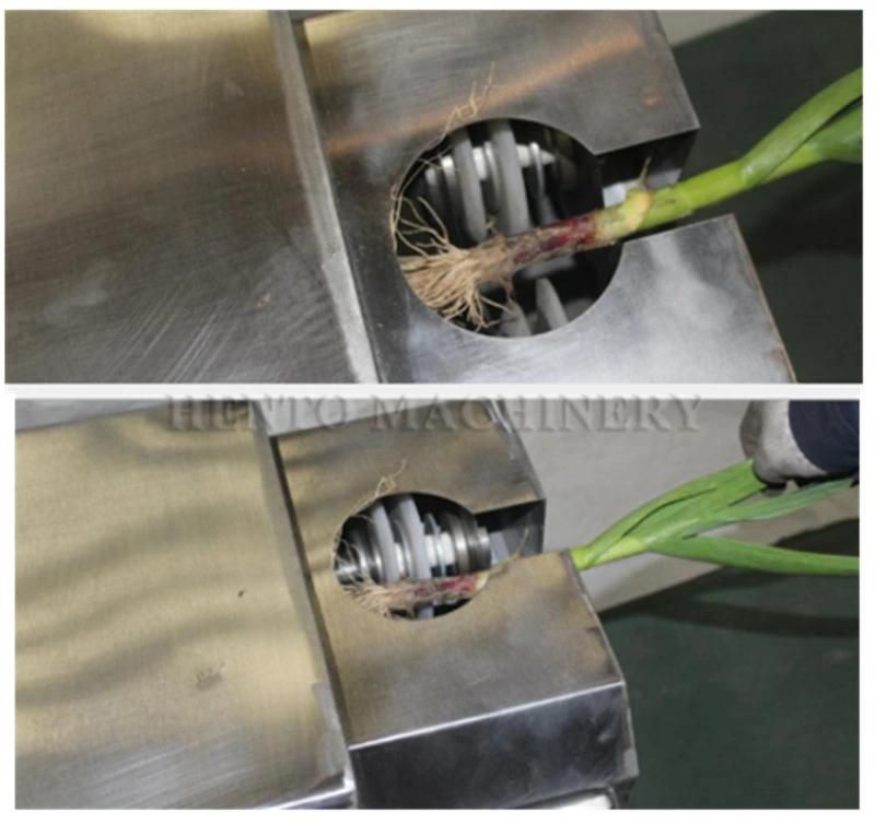 Low Price High Quality Garlic Root Cutting Machine