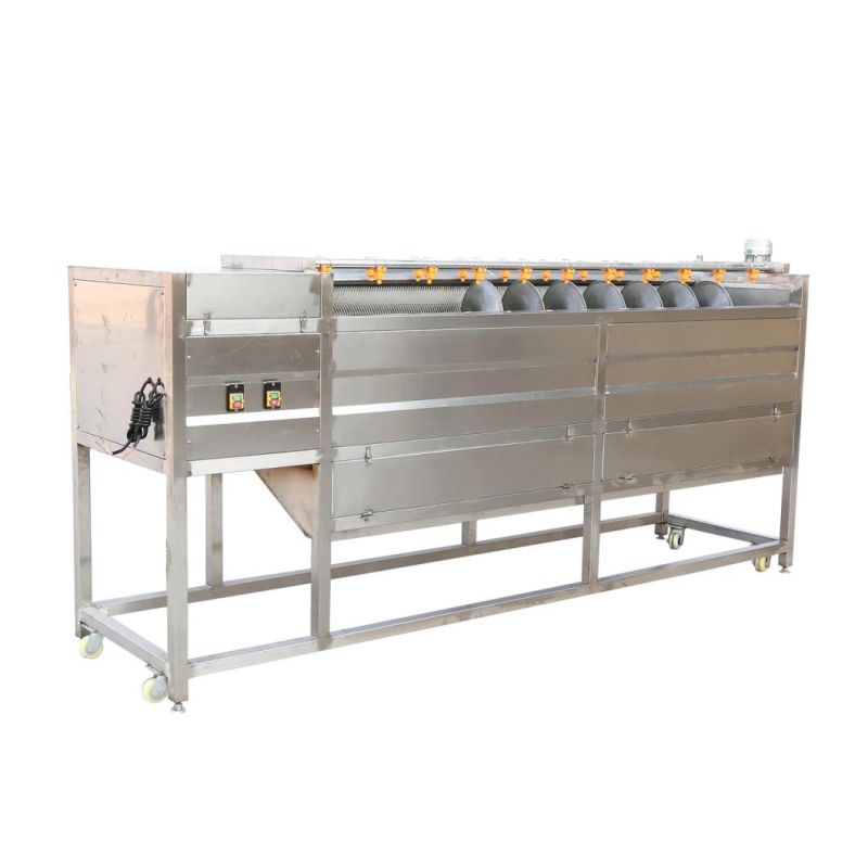 Food Grade Stainless Steel Ginger Washing and Peeling Machine