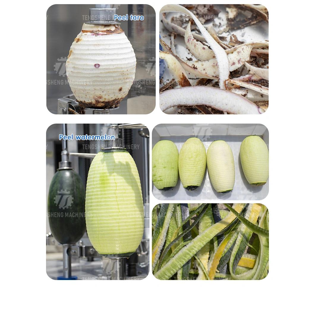 Industrial Food Processor Pineapple Squash Pumpkin Peeler Peeling Machine TS-P100