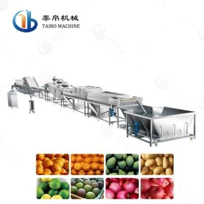 Multipurpose Mango Washing Waxing Diameter Grading Line for Canteen