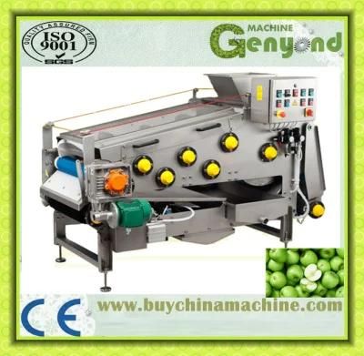 Belt Press for Fruit and Vegetable for Sale