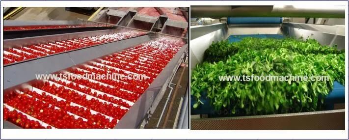 Fruit and Vegetable Washer Washing Vegetable Machine