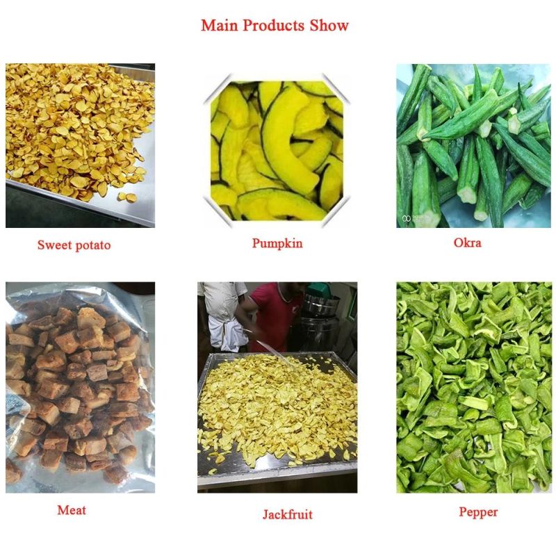 Jackfruit Green Bean Apple Vacuum Frying Machine Testing Mini Fryer