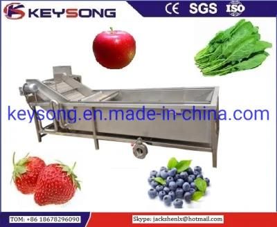 Industrial Blueberry Strawberry Fruit Washing Machine