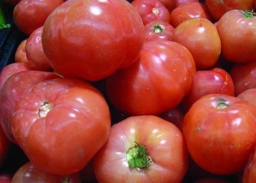 Bubble Washing Machine for Tomatoes Cherry Tomato Washing Machine