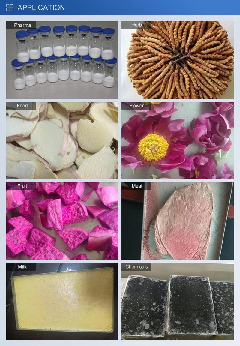 Laboao Mini Small Home Food Vacuum Freeze Dryer Lyophilizer Drying Equipment