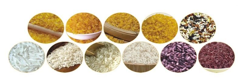 Nutritional Artificial Rice Machine / machinery / Processing Line / Plant