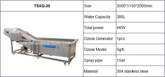 Most Capacity Vegetable and Fruit Continous Bubble Washing Machinery