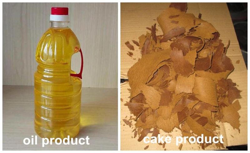 Peanut Sunflower Cotton Seeds Oil Press Machine