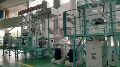 Clj 1000 Tons Per Day Turn Key Complete Set Rice Milling Machine in Egypt