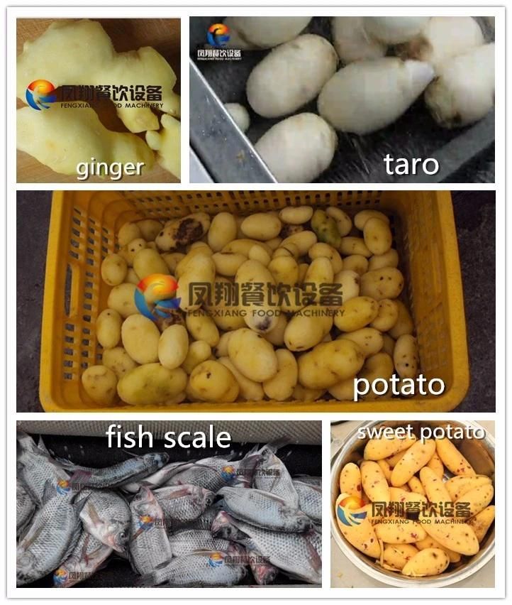 Ginger Potato Carrot Washing Peeling Machine