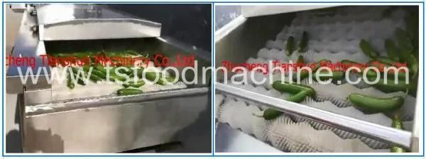 Hot Sale Wave Bubble Vegetable and Fruit Washer Cleaner and Washing Machine