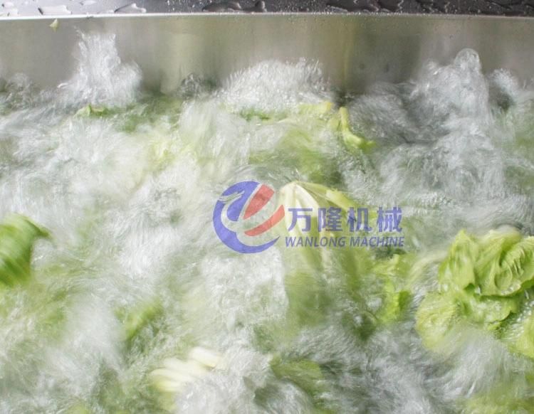 Automatic Salad Cutting Washing Machine Fruit and Vegetable Cabbage Lettuce Processing Line