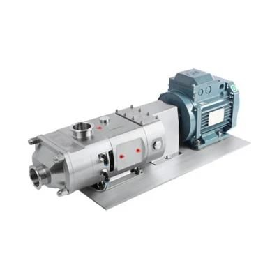Us 3A Food Processing Positive Displacement Double Screw Pump with Electric Motor