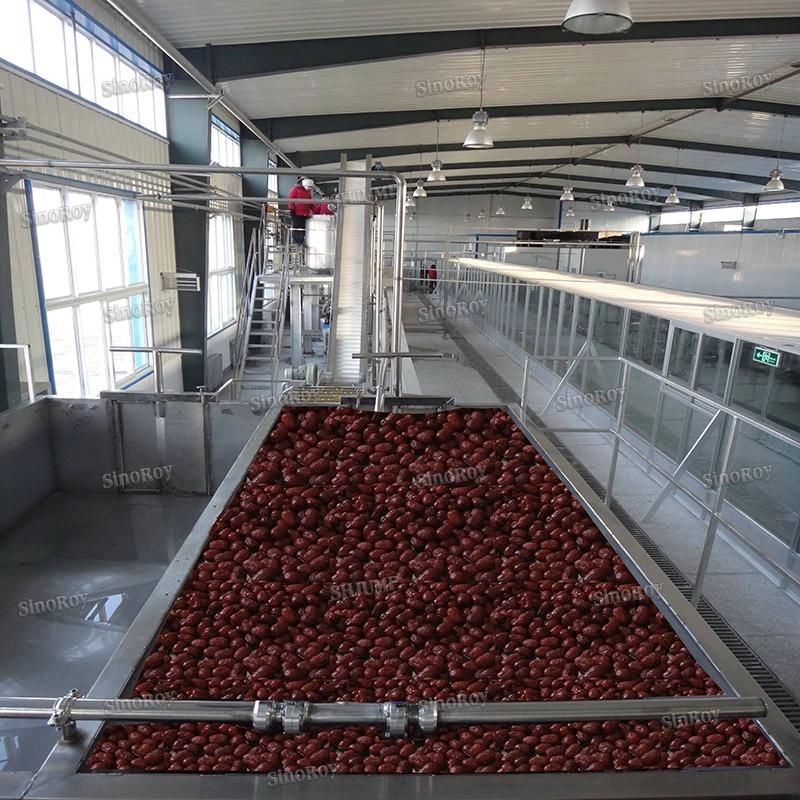 Red Dates Juice Red Dates Paste Processing Line