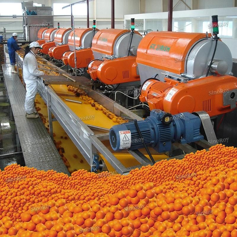 5 Tons Diversity Fruit Production Lines Machines for Apricot Paste, Citrus Grape NFC Juice, Avocado Puree Jam Sauce Ketchup