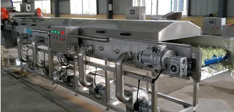 Vibration Dewatering Machine for Vegetable and Fruit Cabbage Dryer